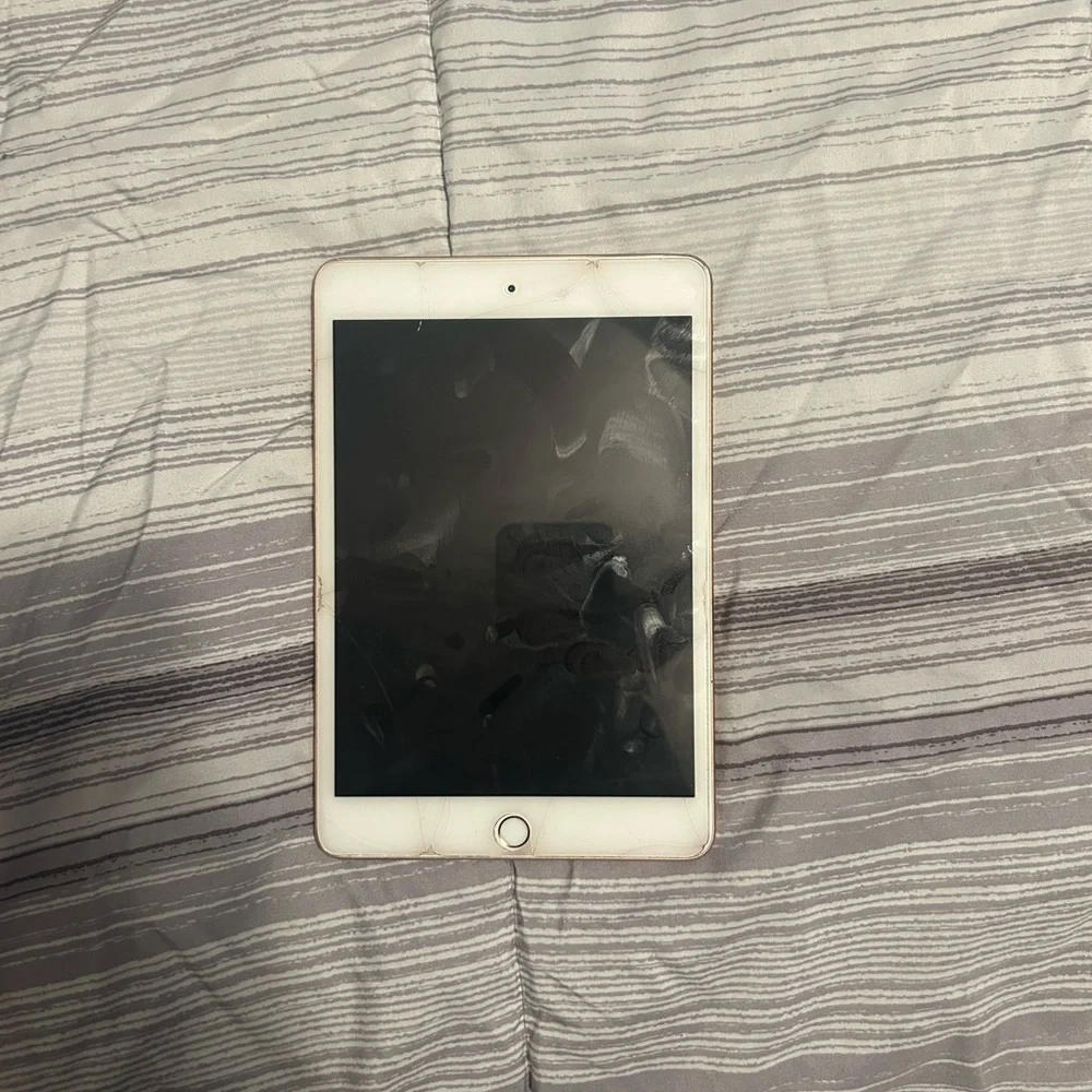 iPad mini 5